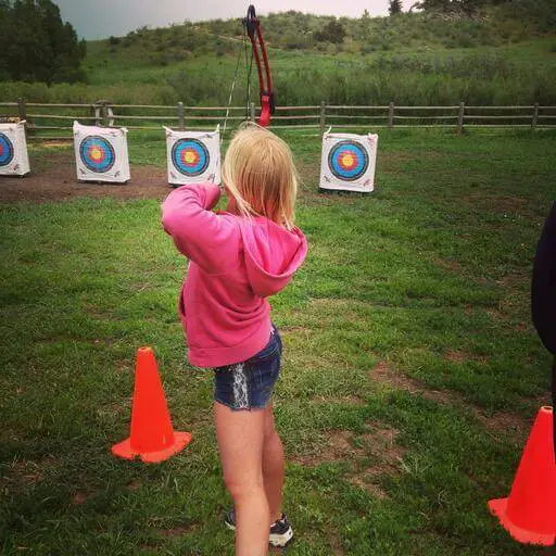 Professional archery